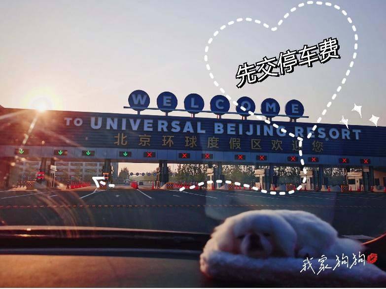 北京环球影城停车场图片