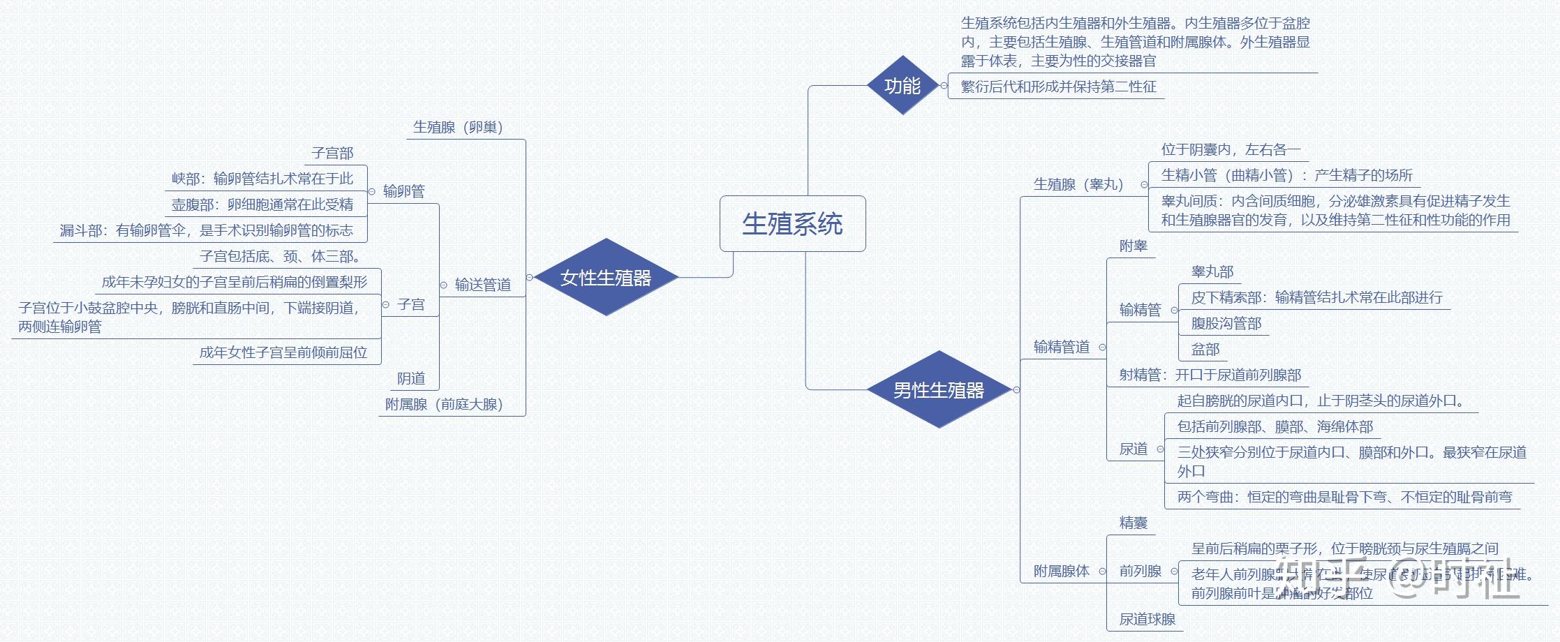 人体组织解剖思维导图图片