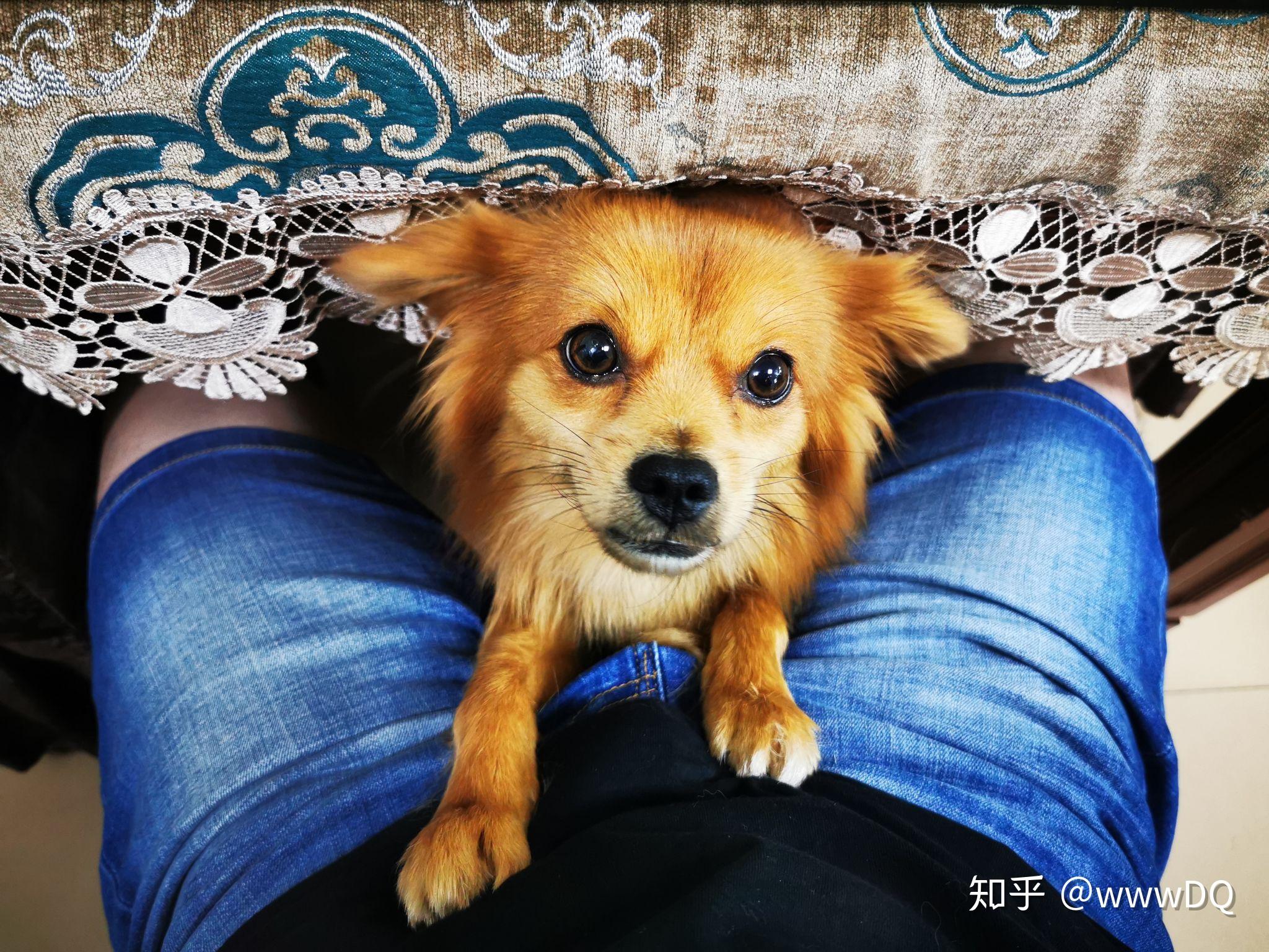 如何真实评价华为 P30 pro 手机?