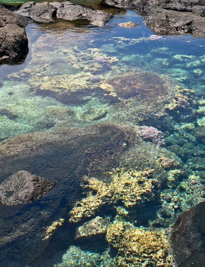 萨拉伊戈麦斯失落之岛