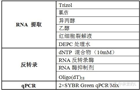 荧光定量PCR(SYBR Green)详细操作步骤 - 知乎