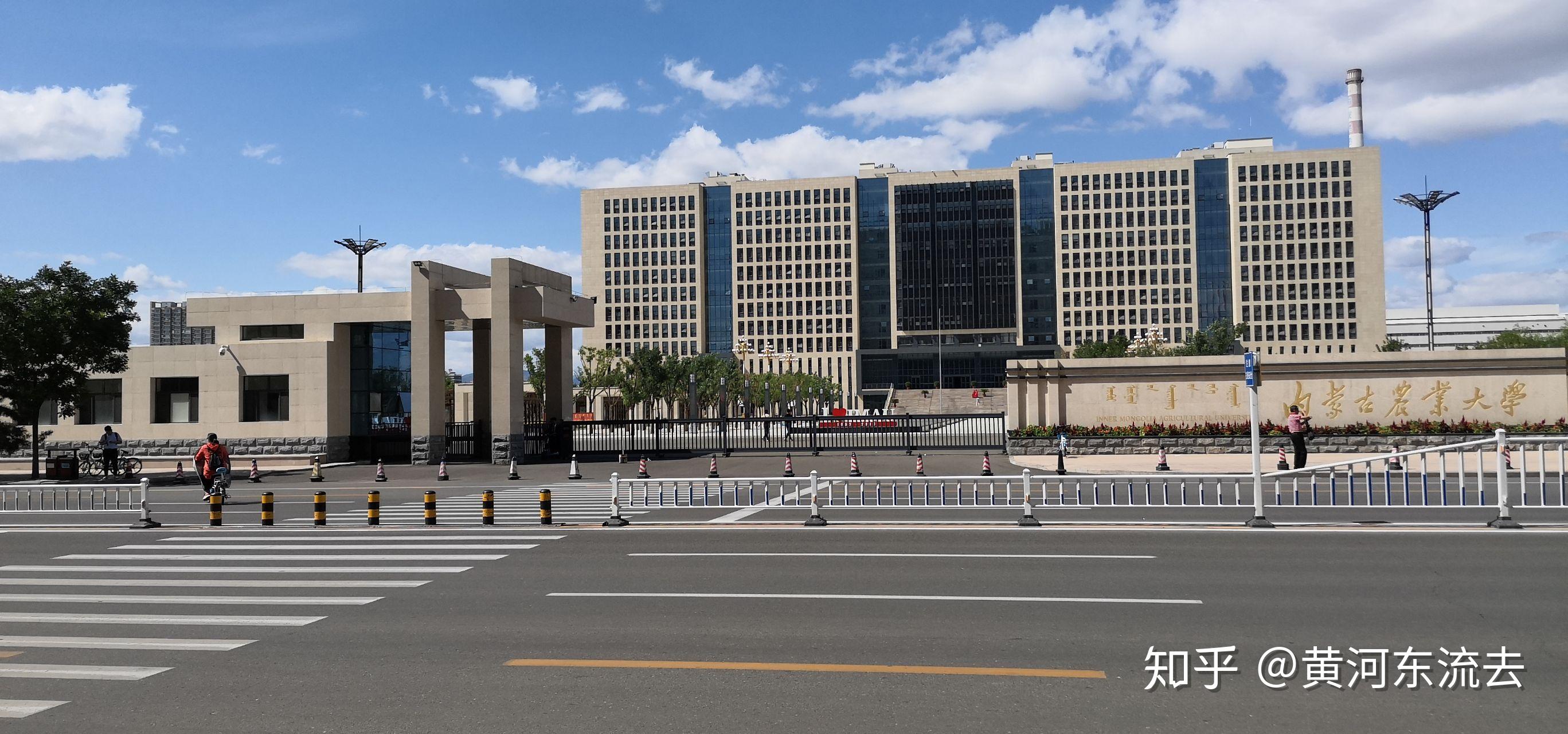 我的内农印象 - 知乎