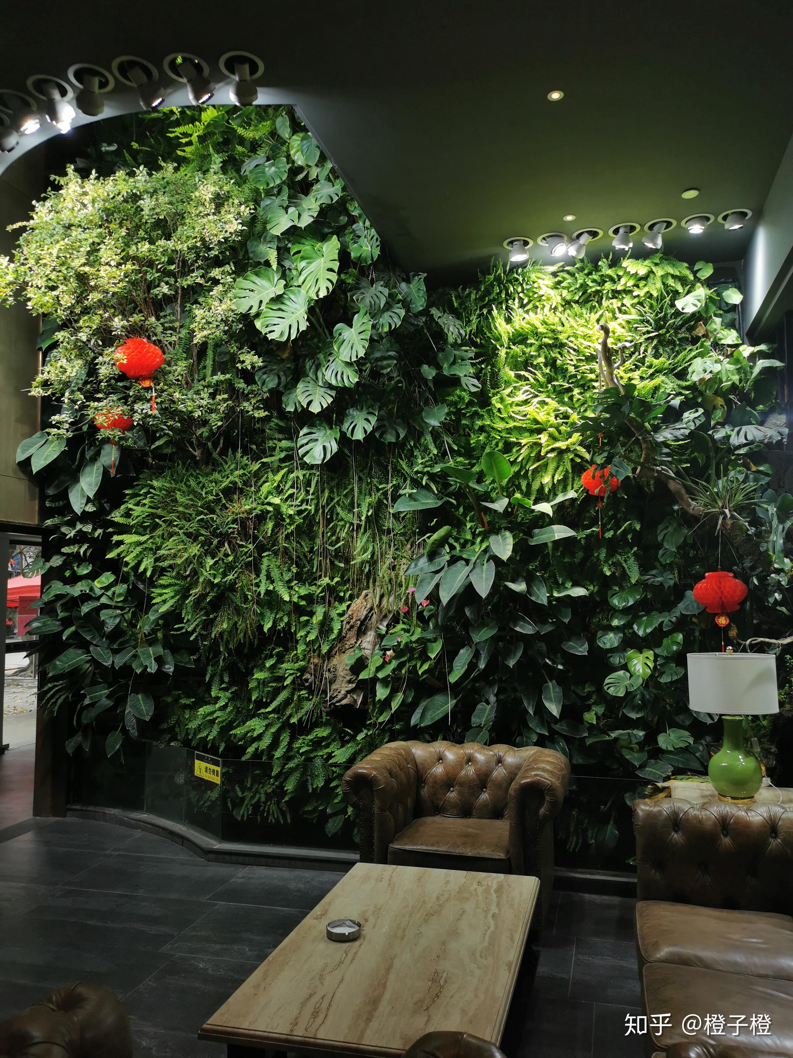 垂直绿化-室内造景 雨林造景 - 知乎