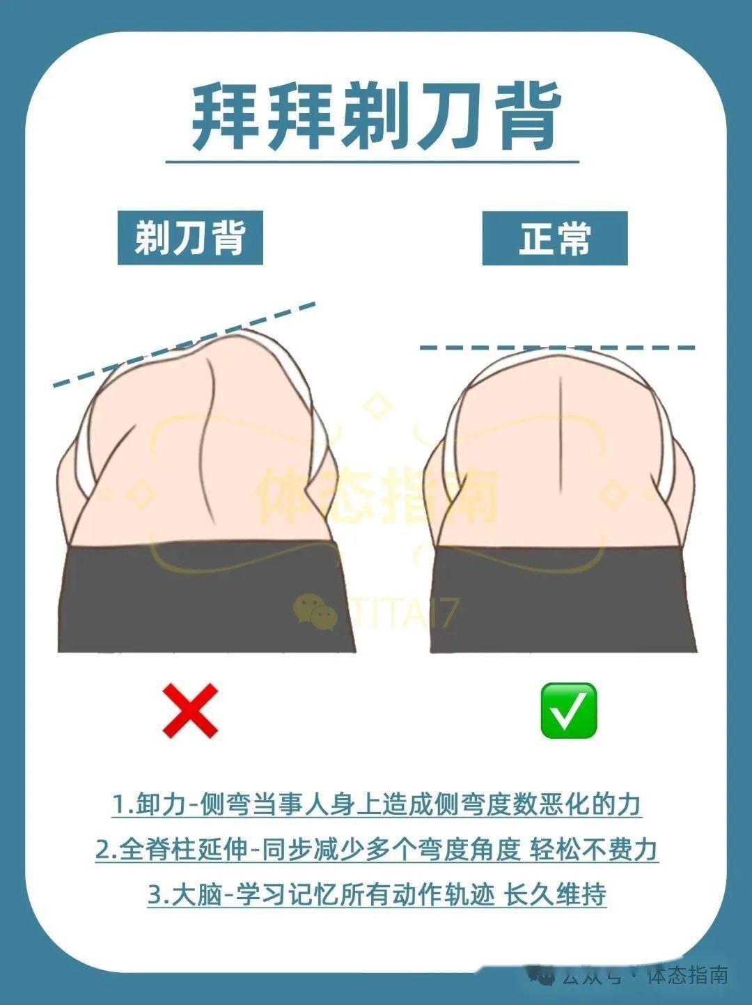 【剃刀背】评估、成因、训练思路 - 知乎