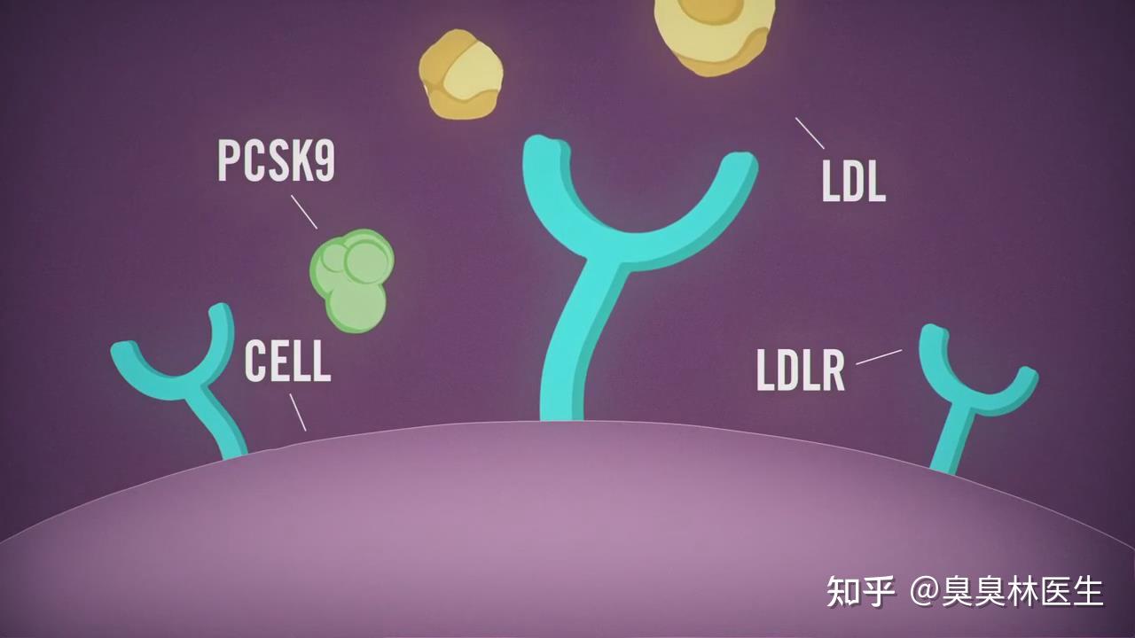 PCSK9抑制剂--打针降血脂，你愿意吗？ - 知乎