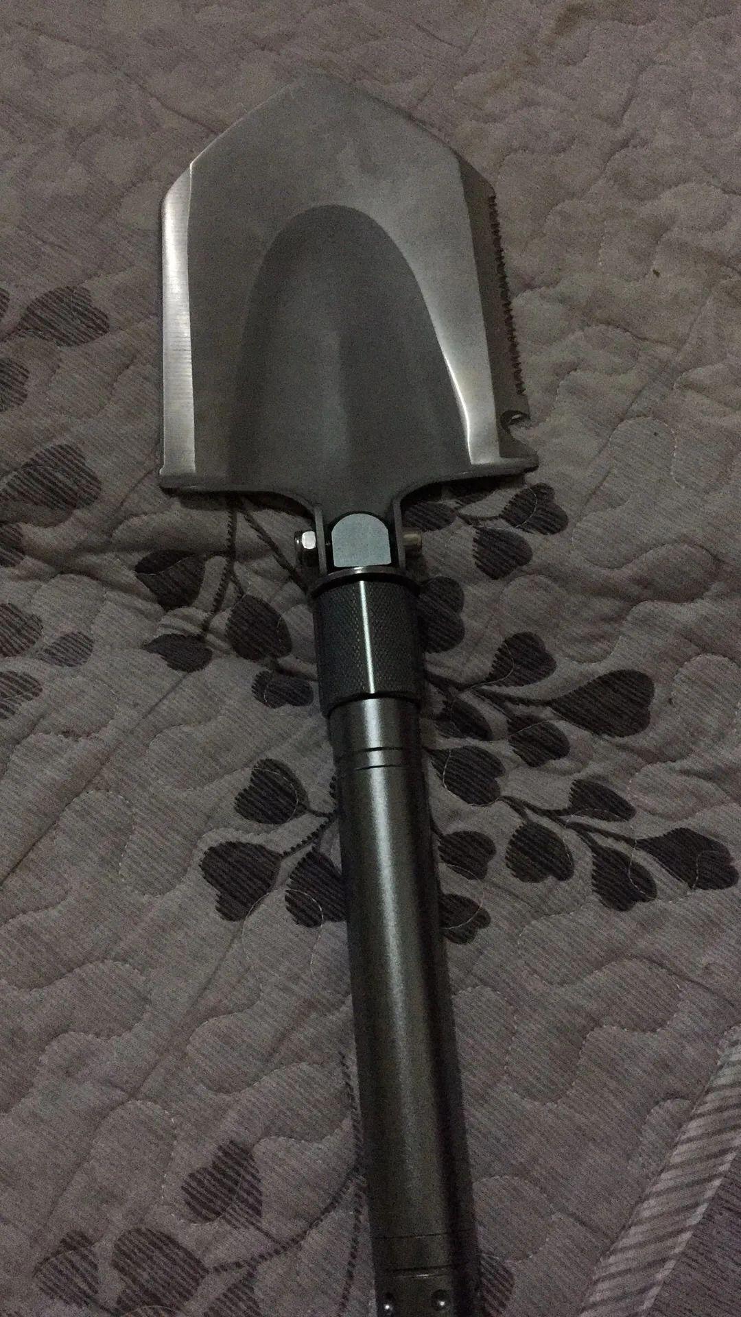 上山挖树桩做盆景应该注意什么