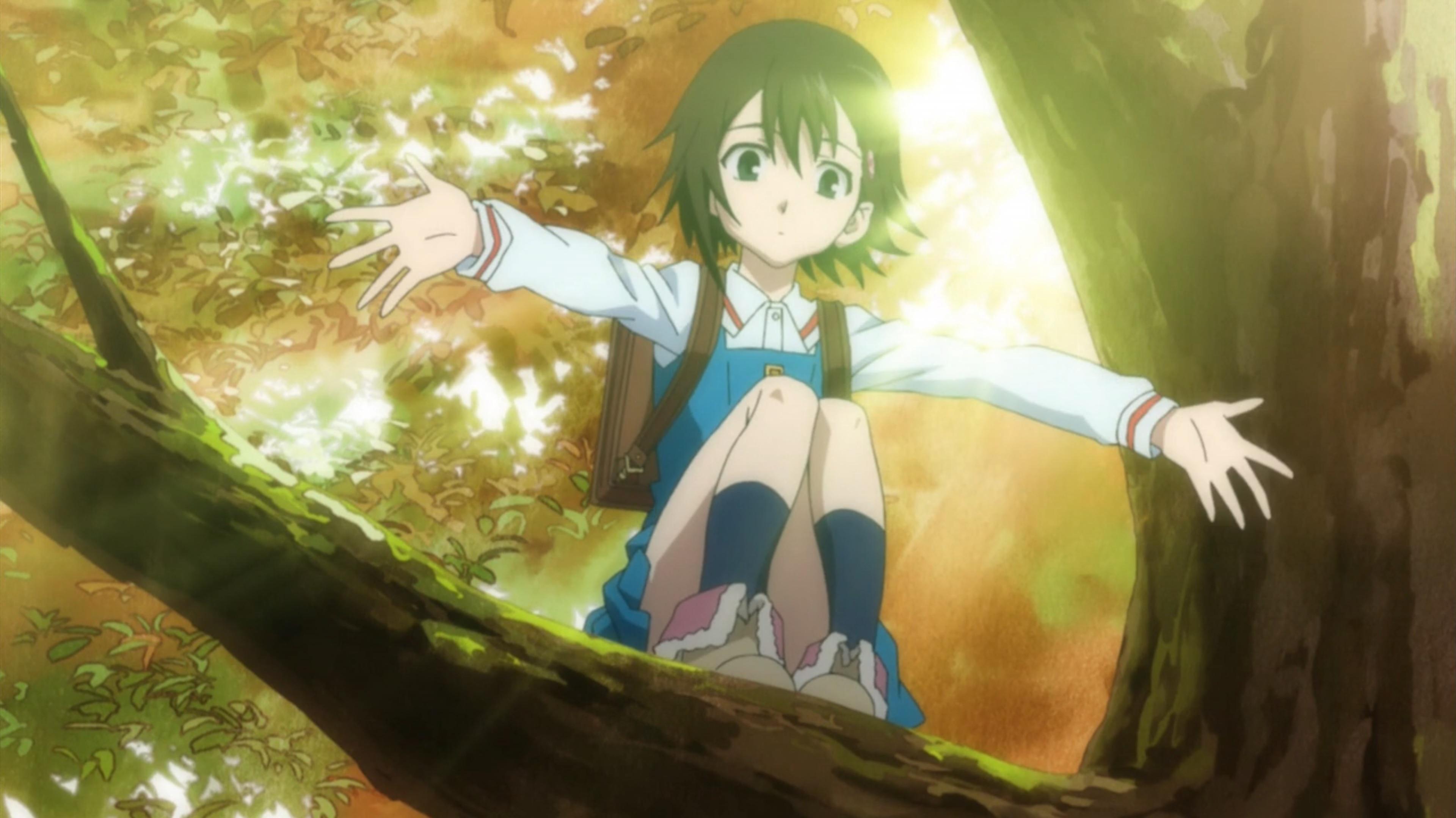 通往真实之泪的道路冈田磨里访谈