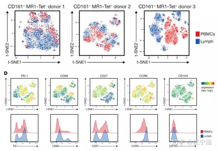 多色流式解决方案flowjo基础讲解