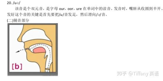 48个国际音标发音舌位图 - 知乎