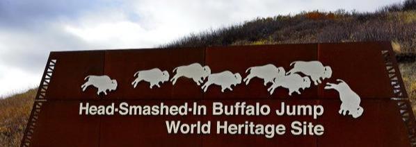 印第安人的粮食 美洲野牛 一种直接影响印第安人命运的动物 知乎