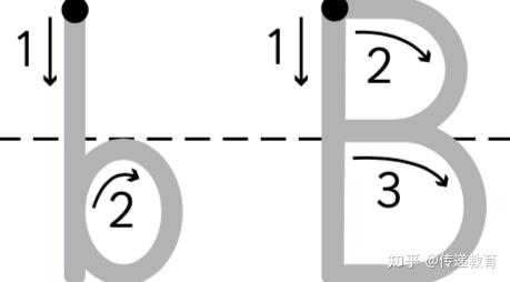 英语启蒙怎样教孩子学字母？英文字母B的亲子教学设计 - 知乎
