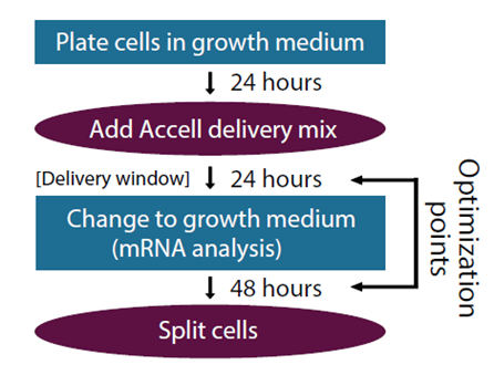 最简单的RNAi——Accell SiRNA - 知乎