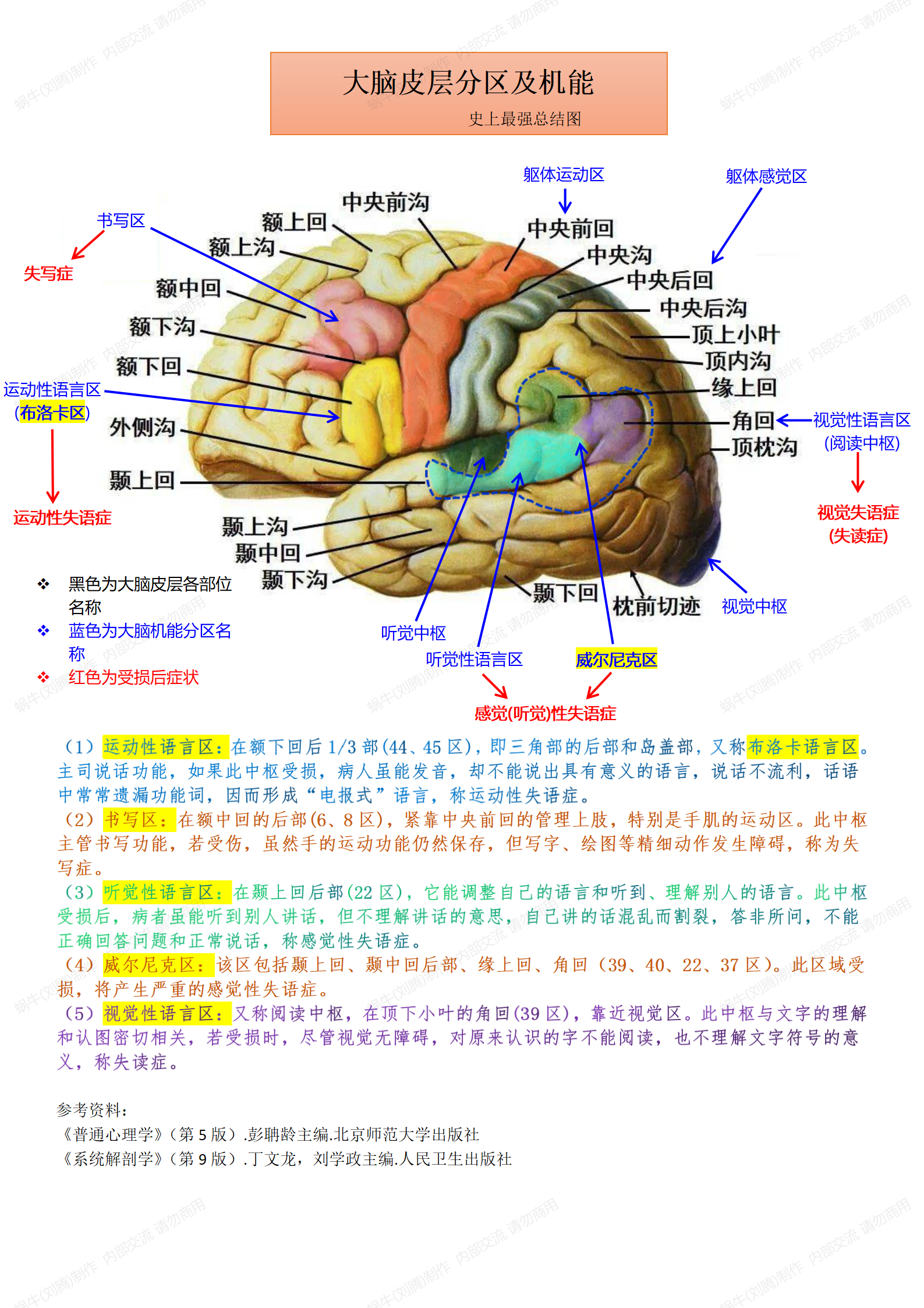 大脑m1区定位图片