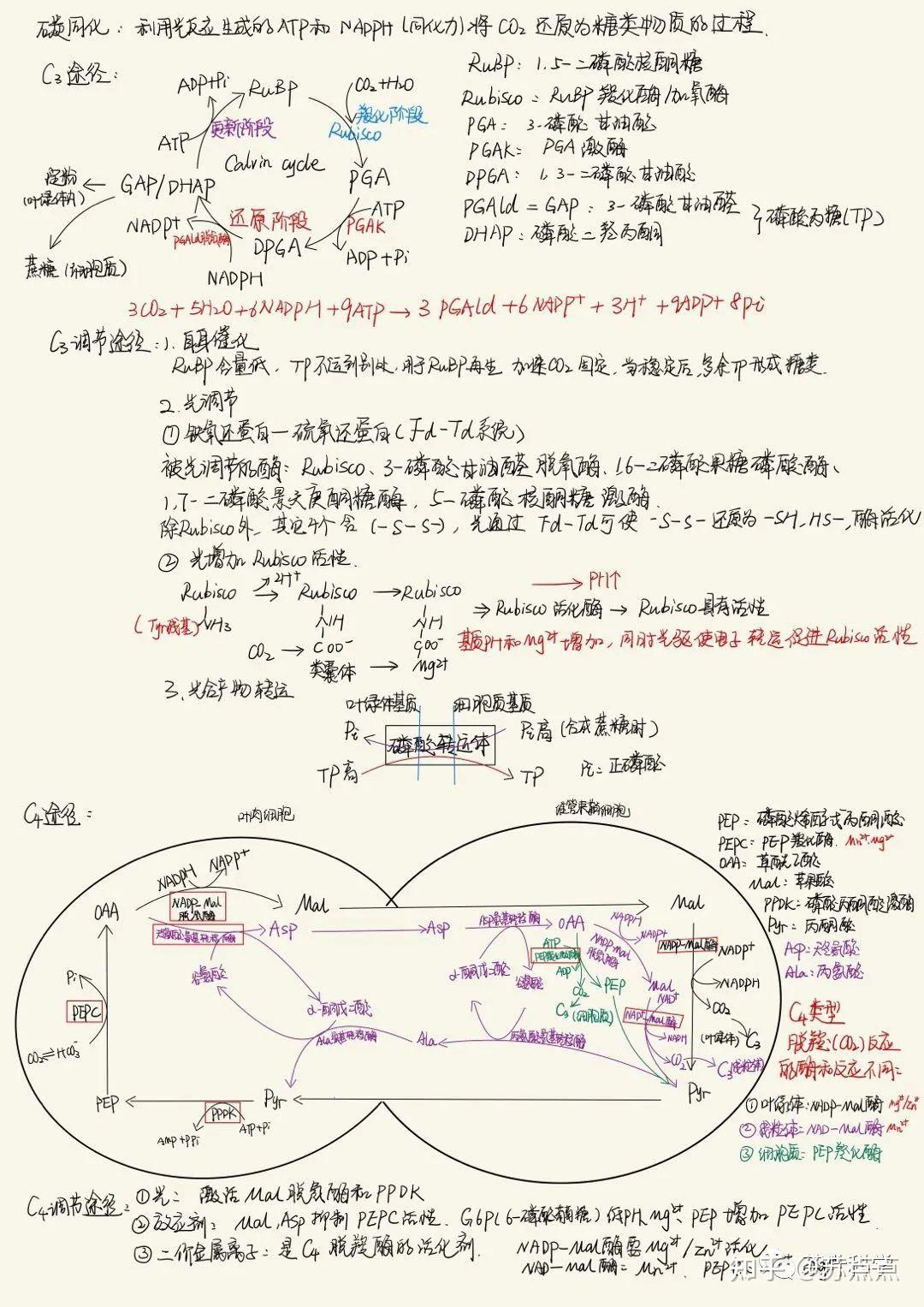 考研资料 | 生理与生化笔记 - 知乎