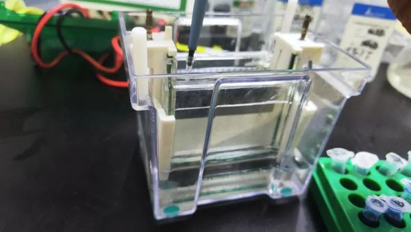 从零开始,手把手教你WB实验全过程 - 知乎