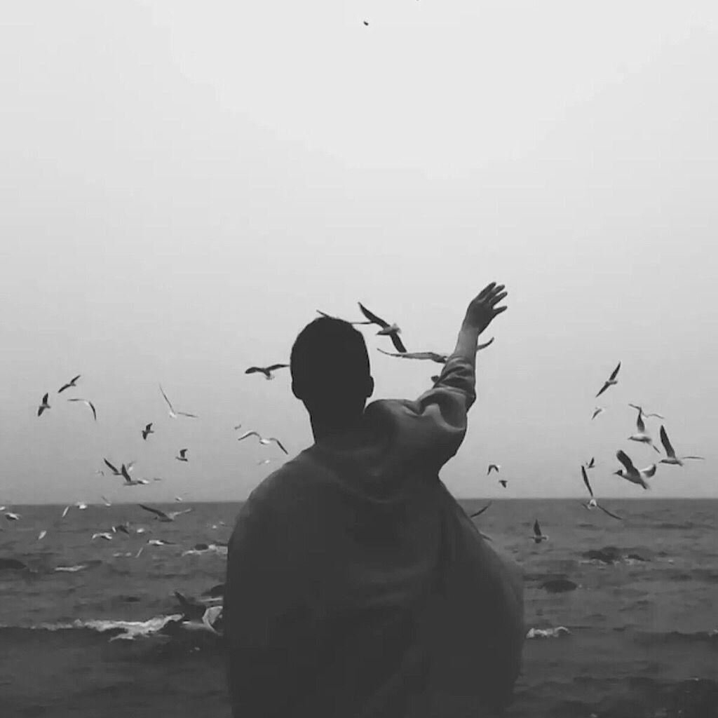 音乐分享情感 v2-803c3b638cf13329e81f161e70cc520f_r.jpg