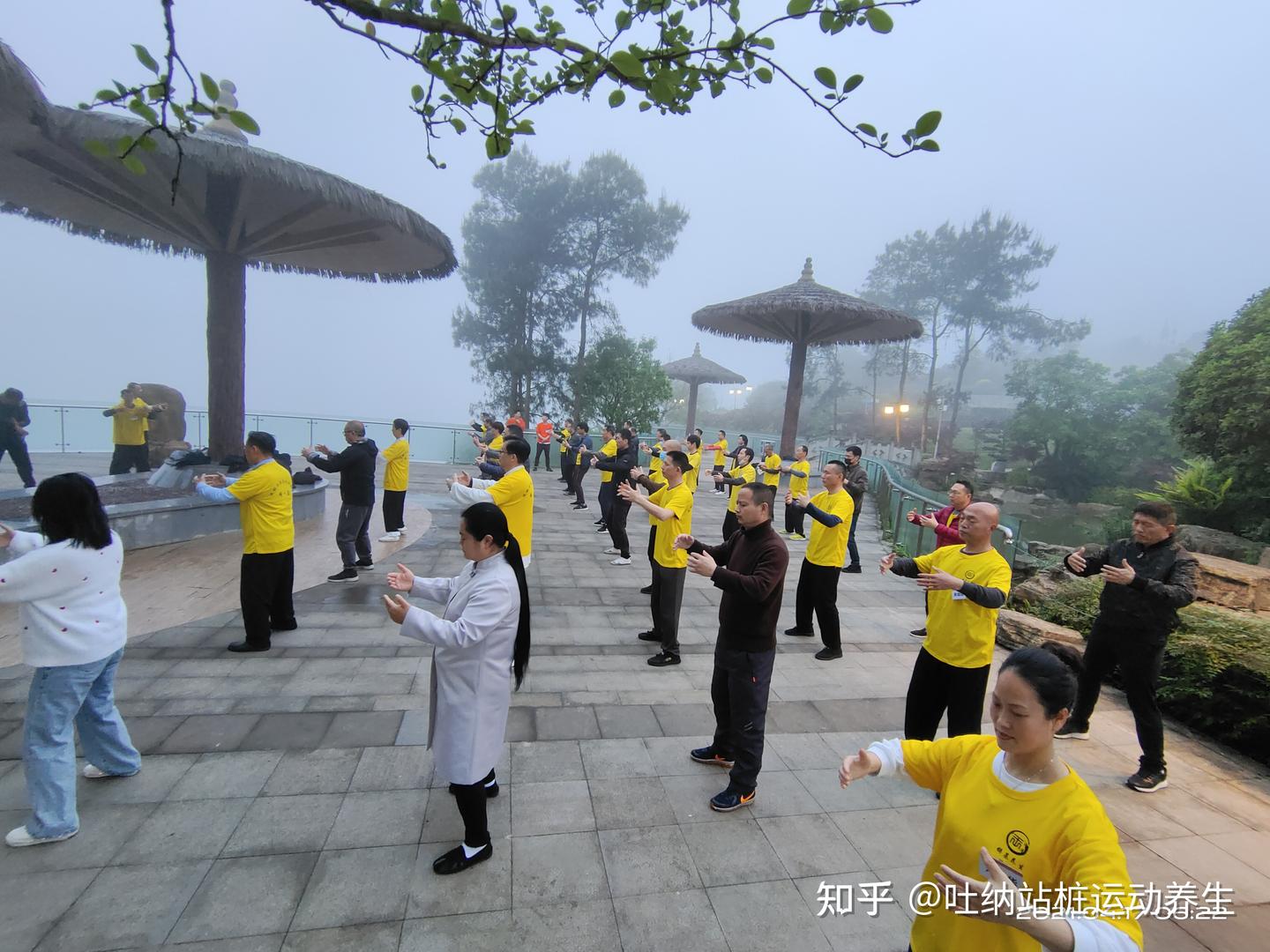 气虚体弱,用三大调理妙招,助你改善体质! - 知乎