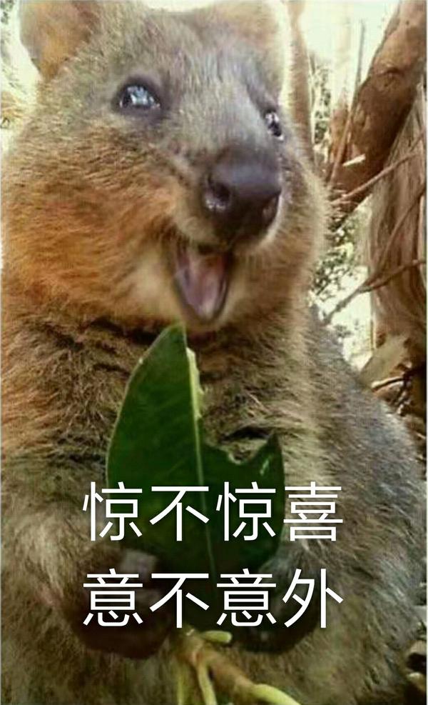 知乎