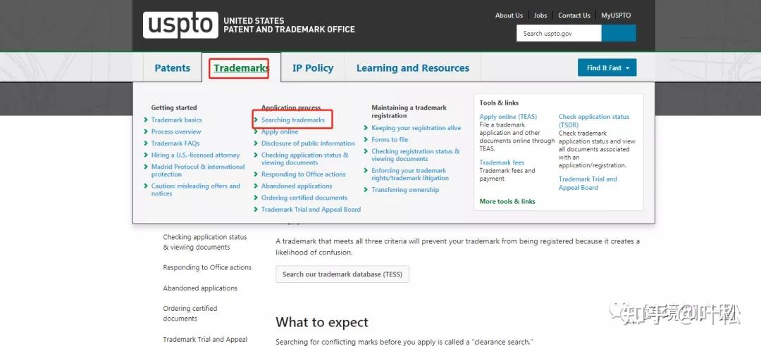 Trade Mark Search Service Australia | IP Guardian