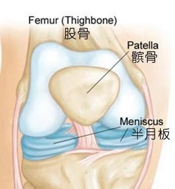 七问七答 让你彻底搞懂半月板损伤 知乎