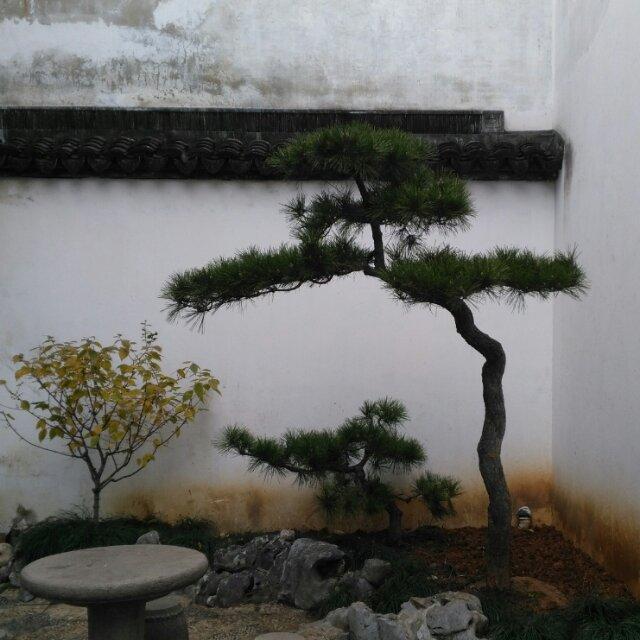 马克思主义者