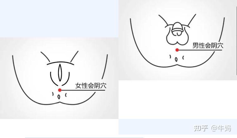 调理一切妇科