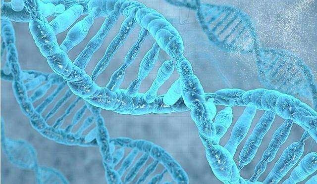 正常情况下,人体的每个细胞DNA分子都是相同的吗? - 知乎