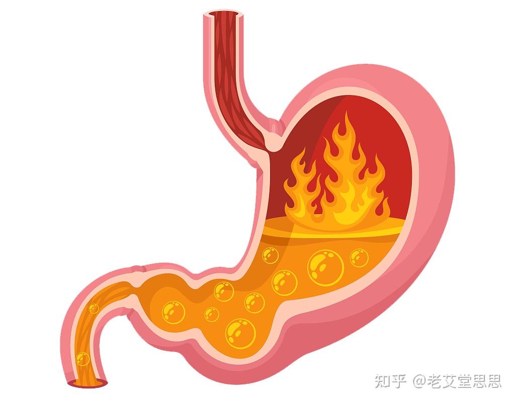 艾灸品牌哪家好?艾灸上火怎么办? - 知乎