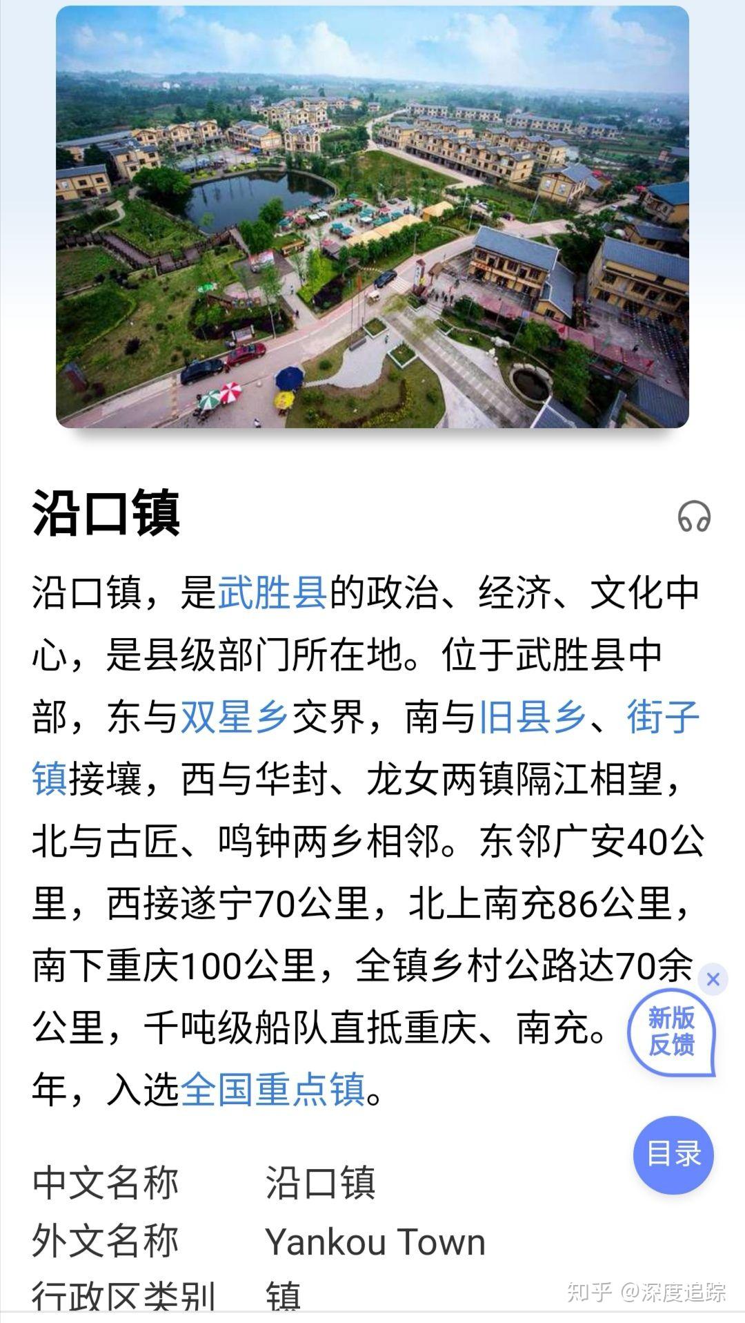 谁认识照片中的女孩从四川广安市武胜县沿口镇走失至今12年为归请扩散