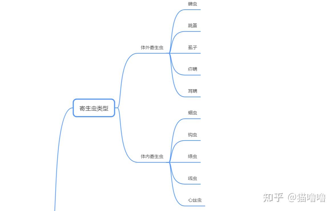 寄生虫思维导图内容图片