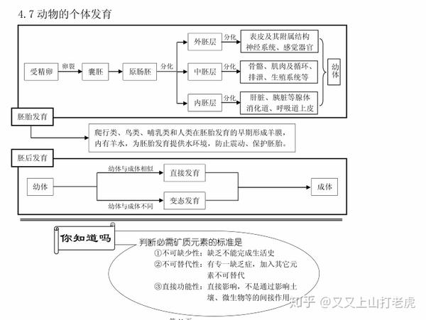 干货l高三第二轮复习生物知识结构网络 六 知乎