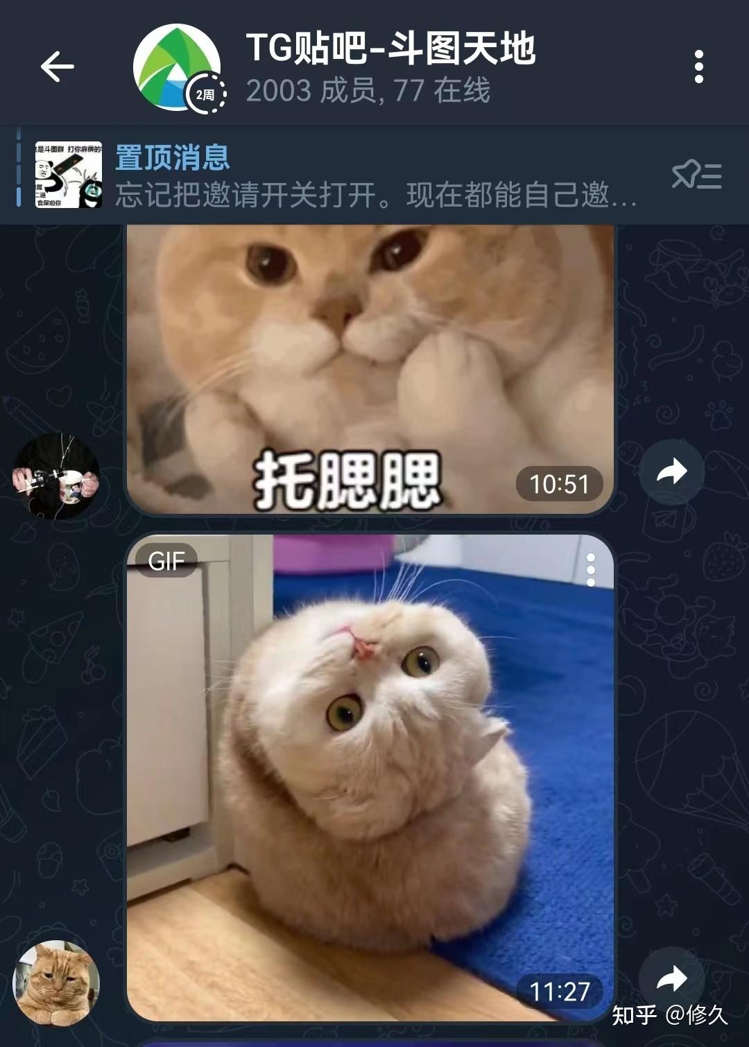 怎么找到好玩实用的电报群？攻略来了 - 知乎