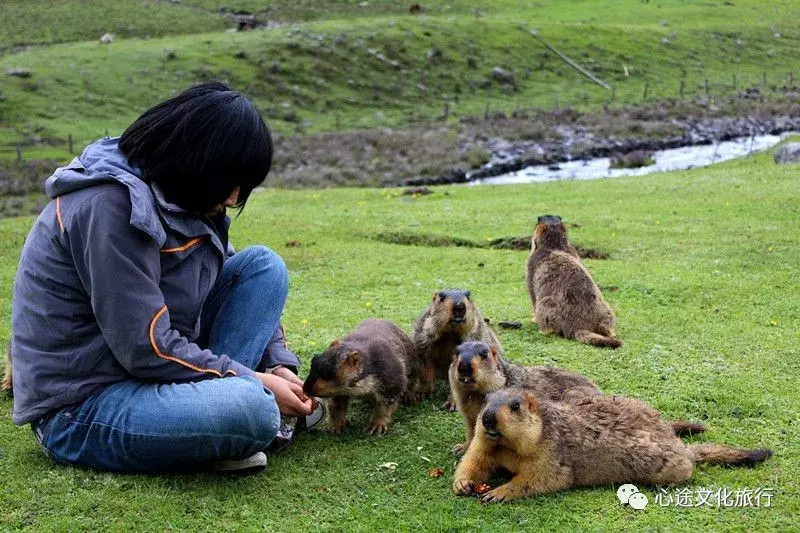 你总觉得人类与动物有区别但其实一切众生皆平等
