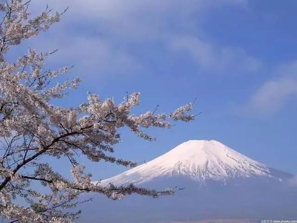 和外教一起聊日本文化 你不知道的富士山 知乎