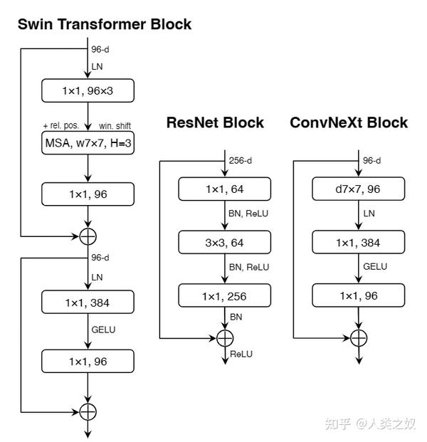  convnext 
