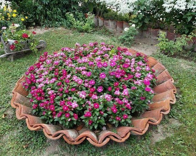 农村捡些瓦片回来,插在自家院子养养花,美观还不花钱