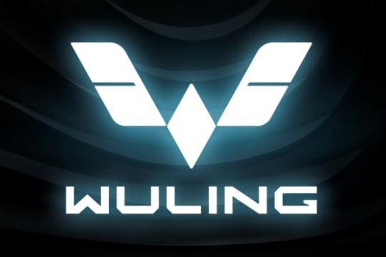 五菱的银色标来了主打海外市场还发布首款银标车能大卖吗