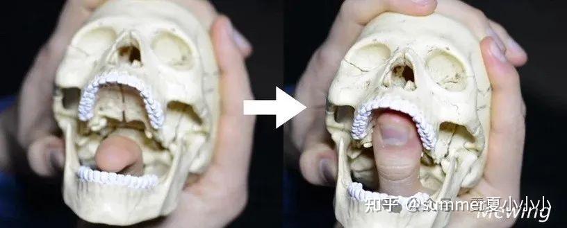 舌头贴上颚,能让鼻基底变高、脸变立体变好看? - 知乎