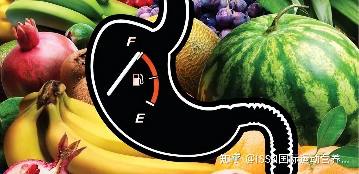 ISSN立场:进食频率 Meal Frequency - 知乎