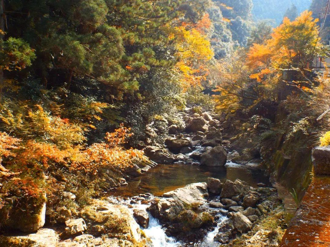 上胜町——德岛县