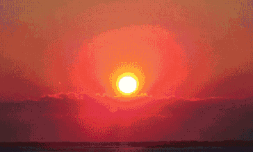 364_220gif 动态图 动图