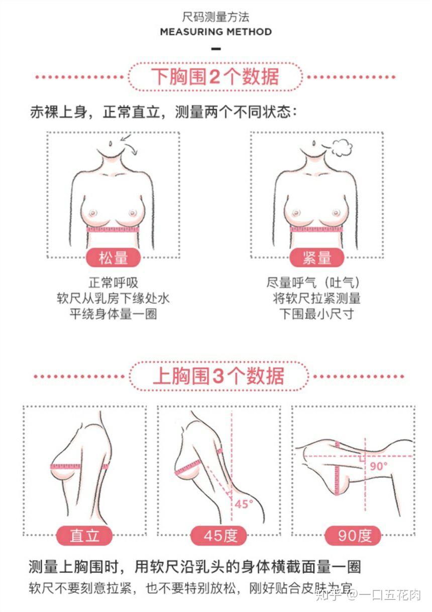 你真的知道你的胸围是多少吗