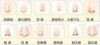 鼻唇角鼻额角鼻面角小柱小叶角这些角度好看鼻子不会差