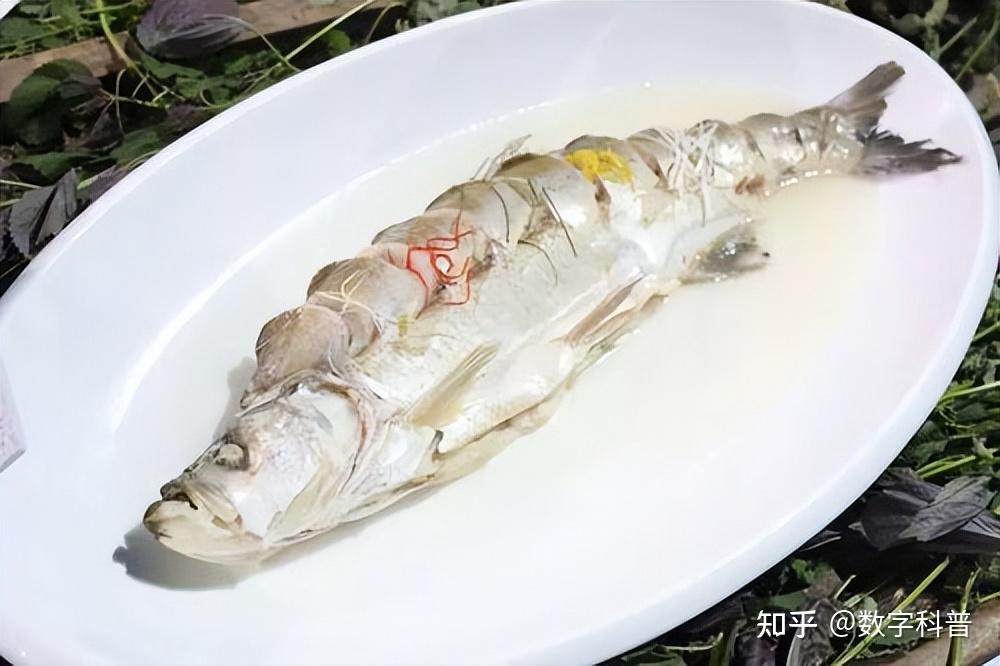 3,興凱湖大白魚