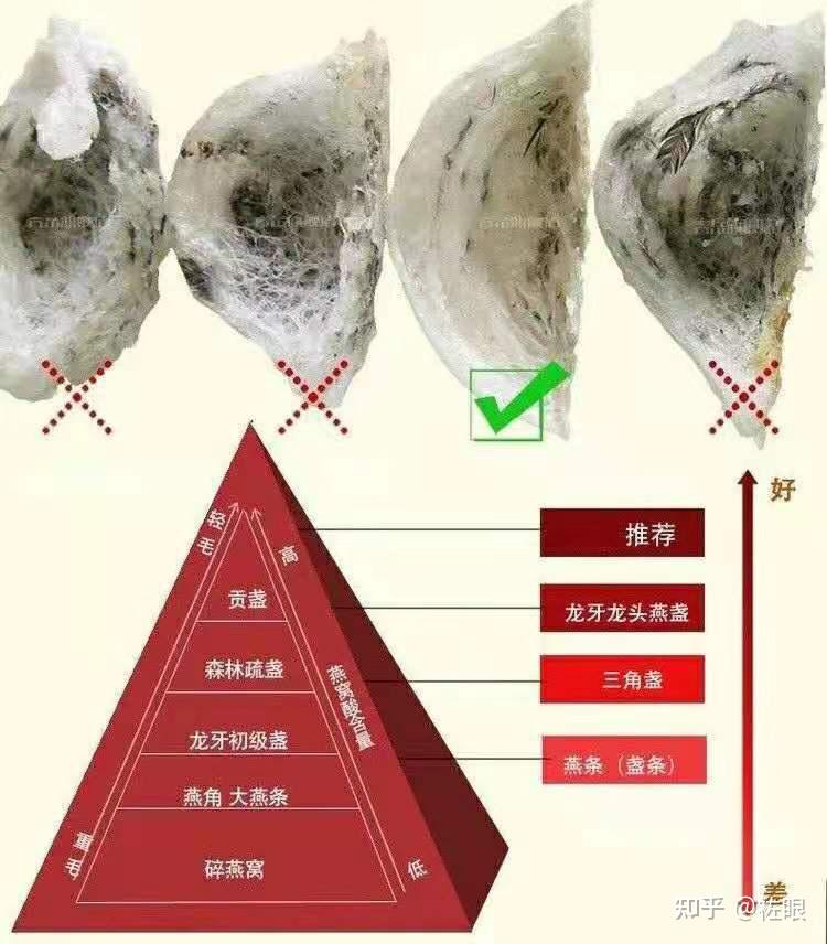 燕窝原料讲解 - 知乎