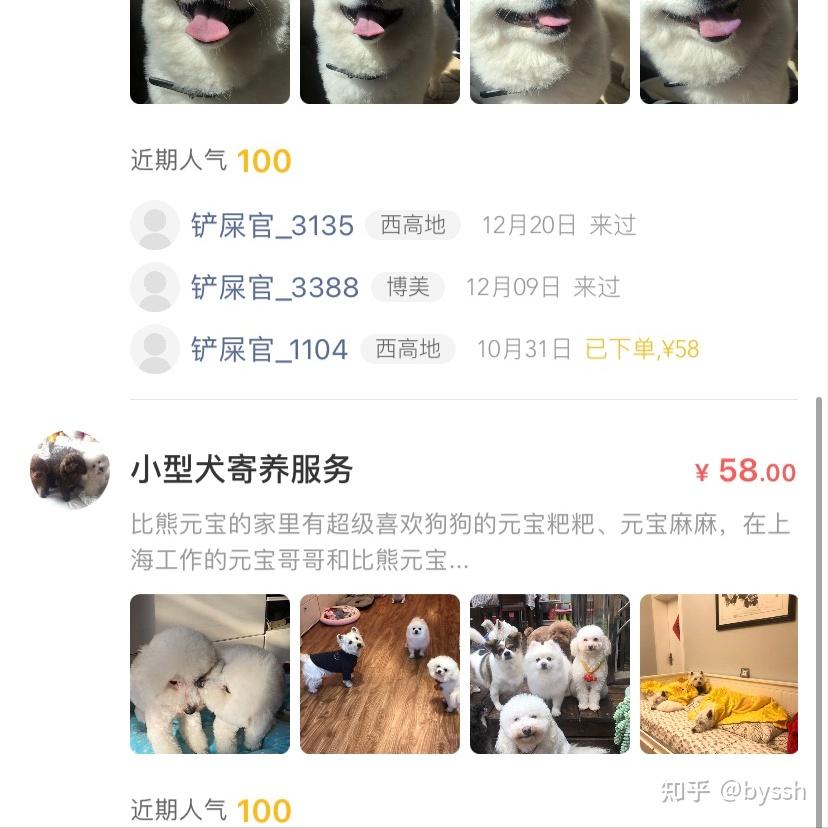 宠物寄养收费标准是什么样的