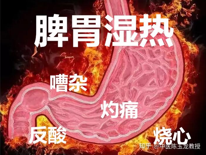 胃脘灼痛?老胃病有救了,明代妙方清中汤,清热化湿,还你好脾胃健康身 - 知乎