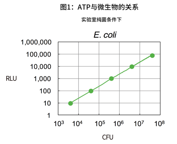 带你真正了解atp荧光检测仪 清洁度 Atp原理 知乎