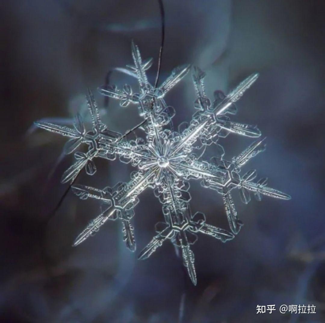 独一无二的雪花结晶 - 知乎