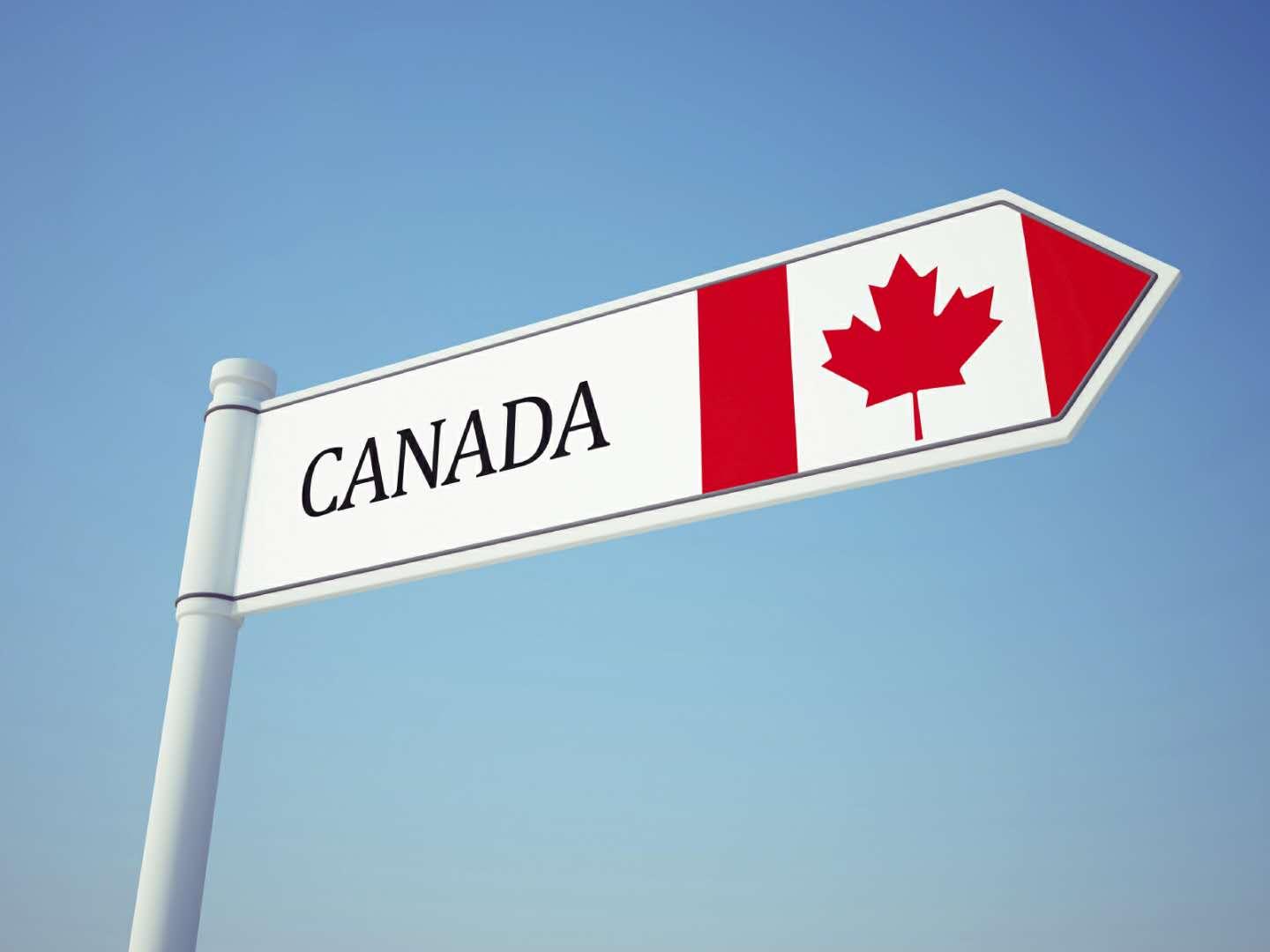 加拿大移民部长透露大消息：准备给临时签证者发枫叶卡，明年要狂收40万新移民！ - 知乎